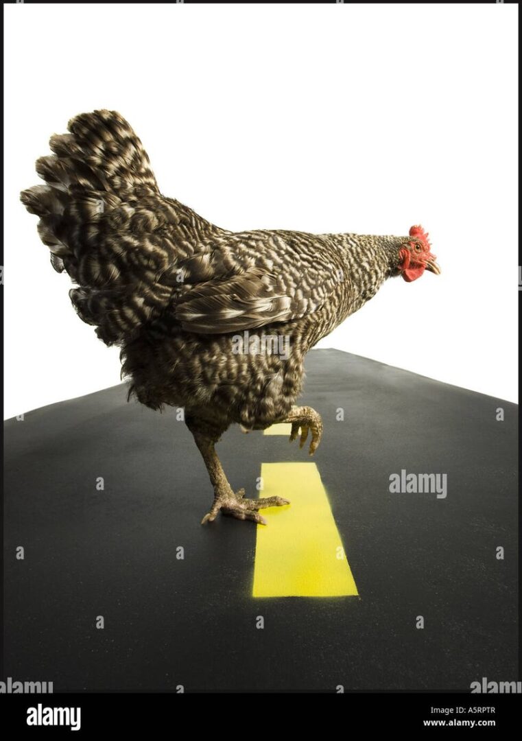Descubre el Juego Relevante de Chicken Road 2 en Casinos Españoles